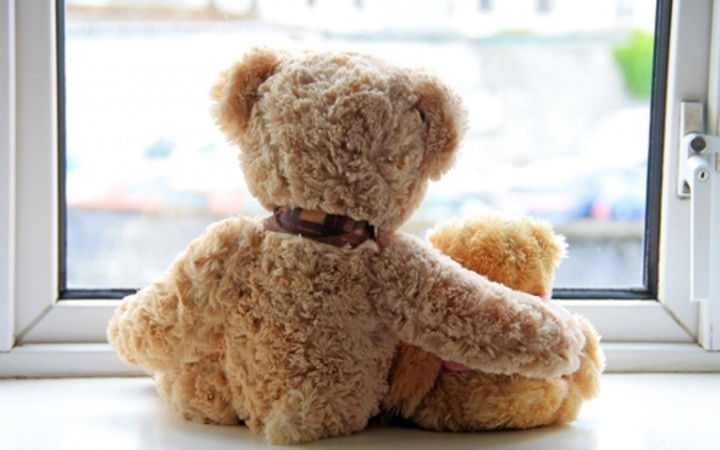 teddy bear name in hindi