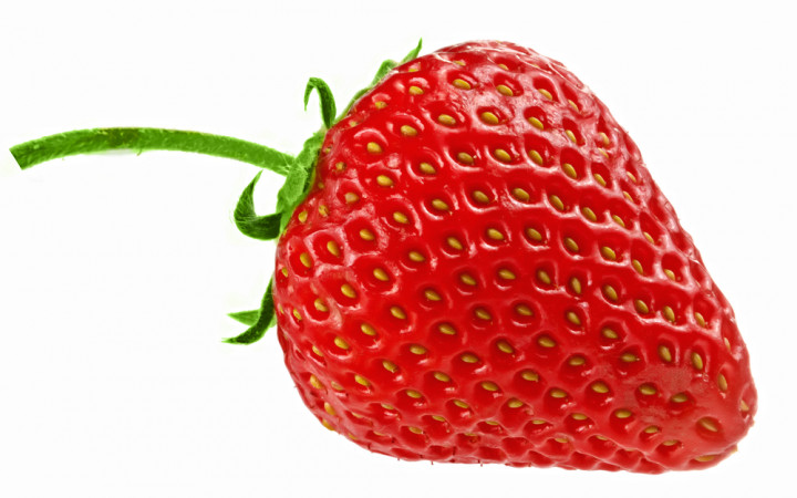 are strawberry seeds bad for dogs