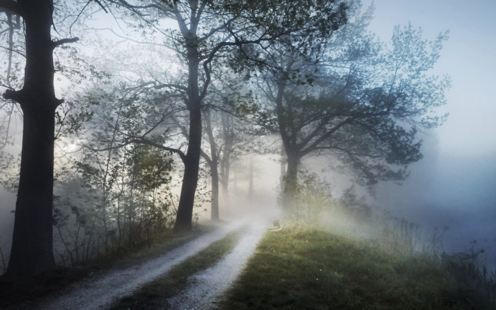 Where Does Fog Come From? | Wonderopolis