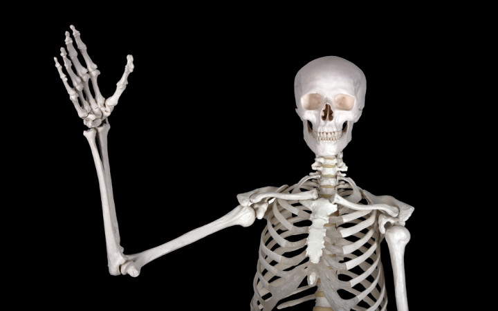 Does Everyone Have a Funny Bone? | Wonderopolis