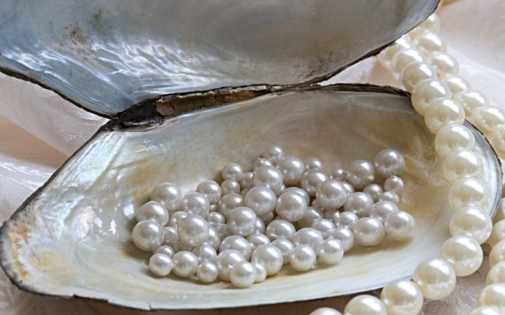 Which clams on sale have pearls