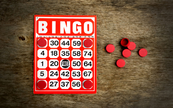 Do You Like to Play Bingo? | Wonderopolis