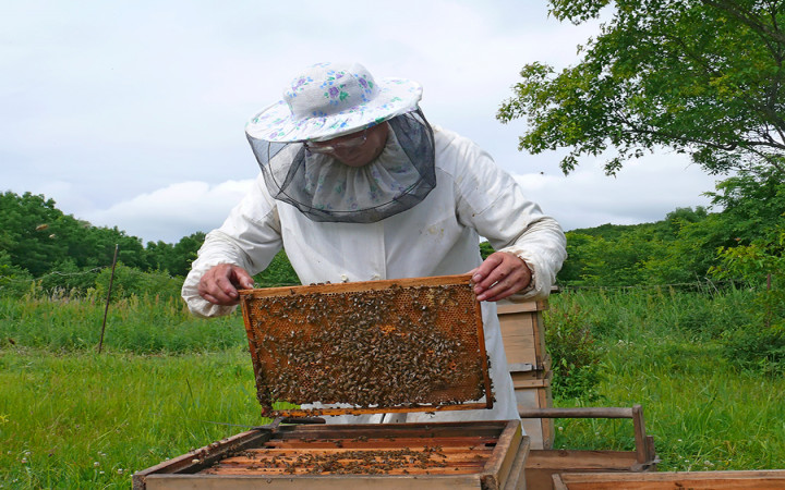 How These Beekeepers Stay True to Themselves, Even in Their Suits