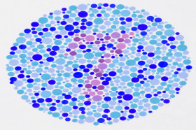 How Can We Know if an Animal Is Color Blind? | Wonderopolis