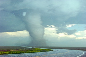 What Is a Fish Tornado? | Wonderopolis