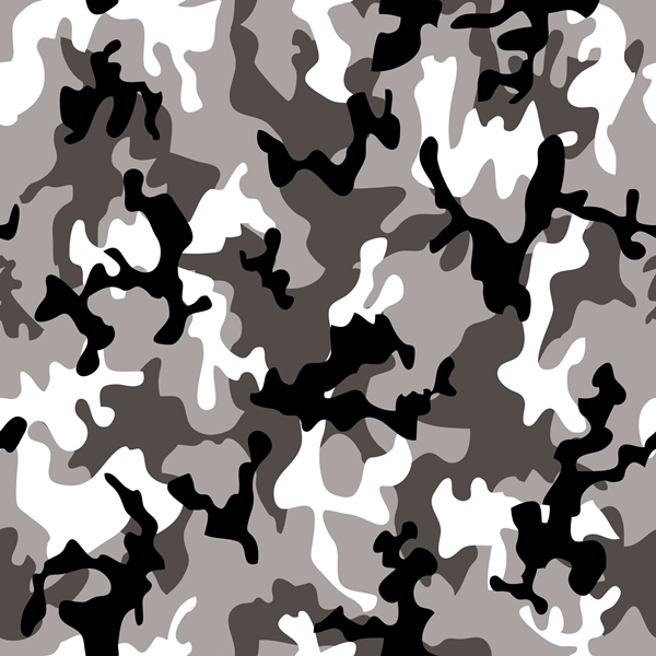 What Color Is Camouflage? | Wonderopolis
