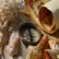 Wonderopolis