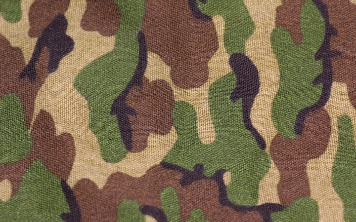 What Color Is Camouflage? | Wonderopolis