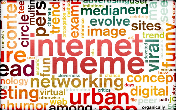 What Is an Internet Meme?