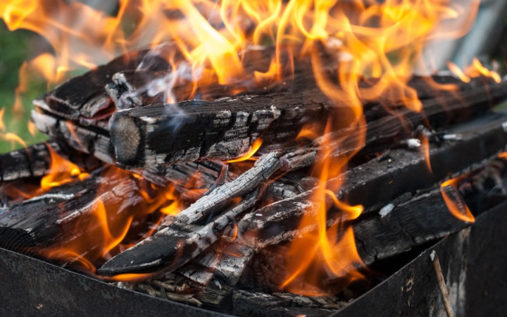 What's the Best Wood to Burn in a Campfire