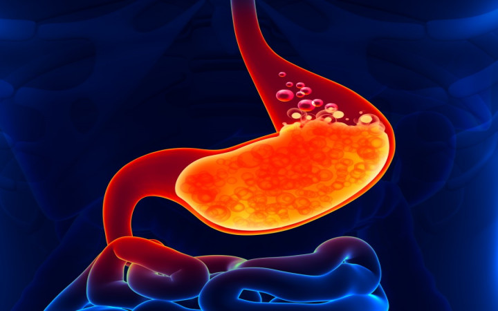 hydrochloric acid in the stomach