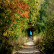 Wonderopolis