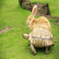 Wonderopolis