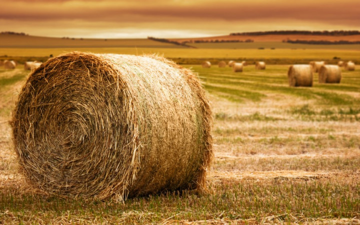 Why Do Bales of Hay Come in Different Shapes? | Wonderopolis