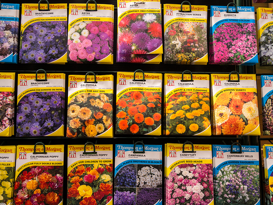 How Are Annuals and Perennials Different? | Wonderopolis