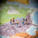 Wonderopolis