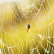 Wonderopolis