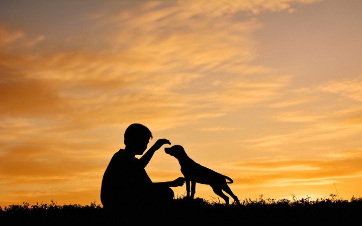 Why Is a Dog Man's Best Friend? | Wonderopolis