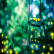 Wonderopolis
