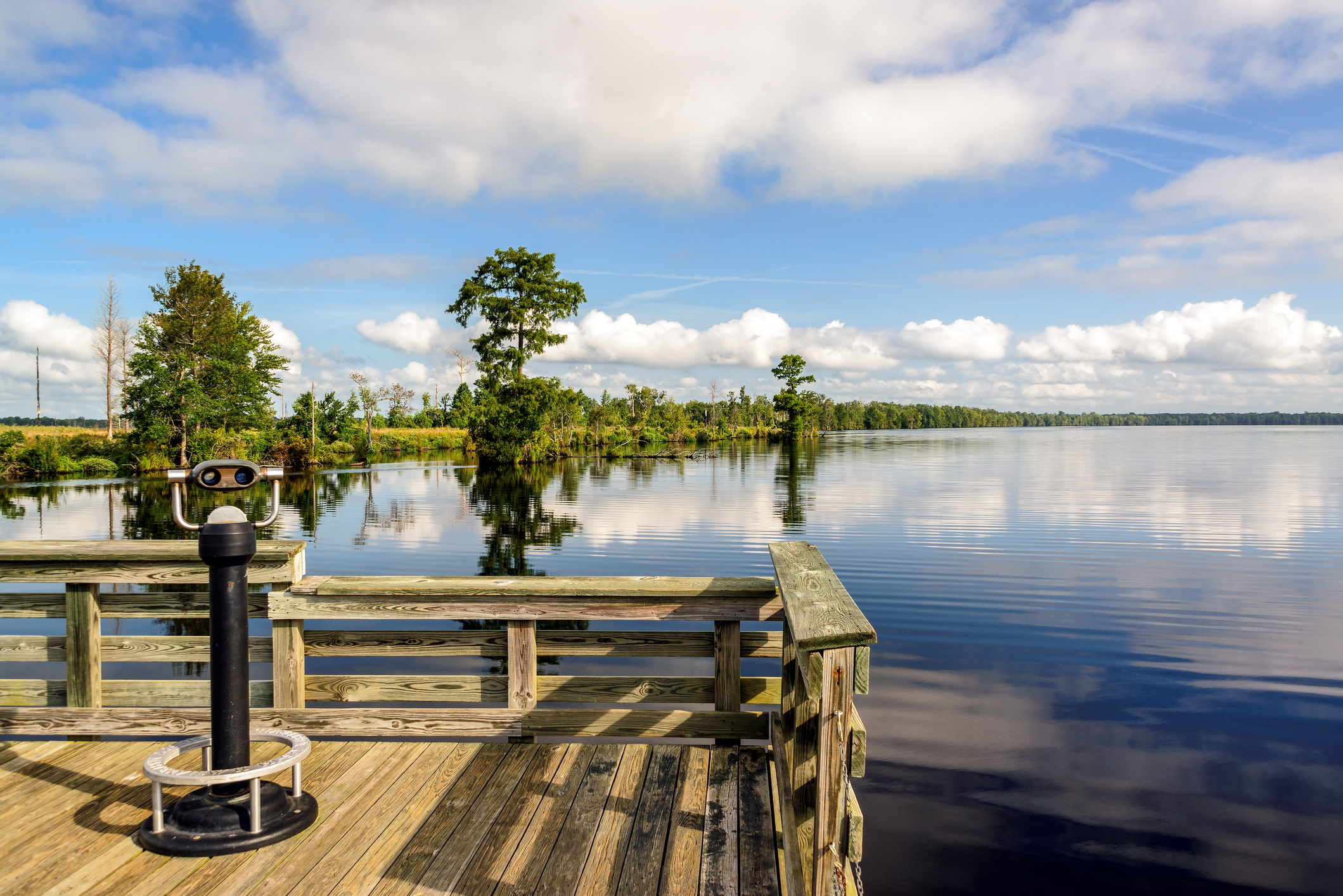 where-is-the-great-dismal-swamp-wonderopolis