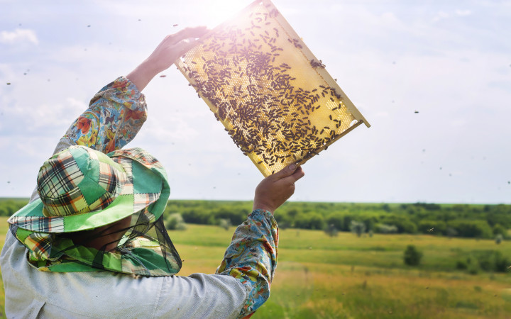 6 ways to join the beekeeping community - PerfectBee