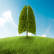Wonderopolis