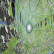 Wonderopolis