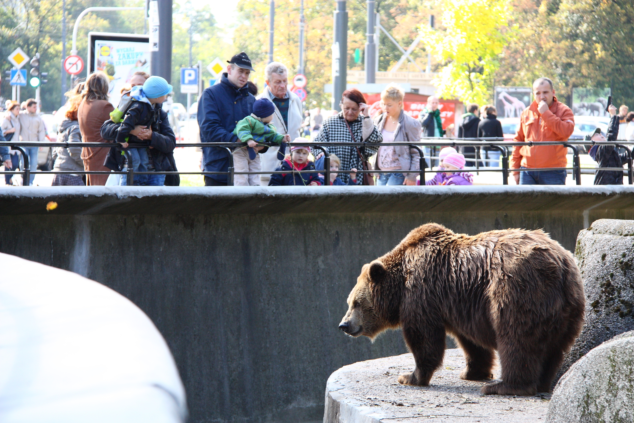 where-is-the-largest-zoo-wonderopolis