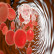 Wonderopolis