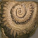 Wonderopolis