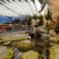 Wonderopolis