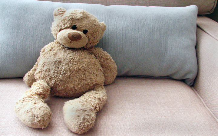 How Did the Teddy Bear Get Its Name?