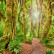 Wonderopolis