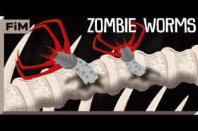 Zombie worm