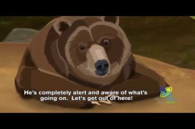 What Happens if You Wake a Bear From Hibernation? | Wonderopolis